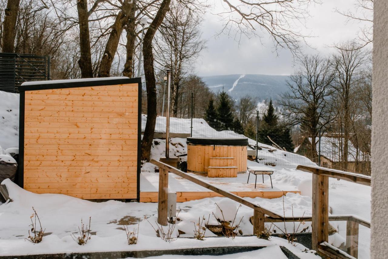 Apartamenty Larice - Podgrzewany Basen, Balia I Sauna Swieradow-Zdroj Ngoại thất bức ảnh