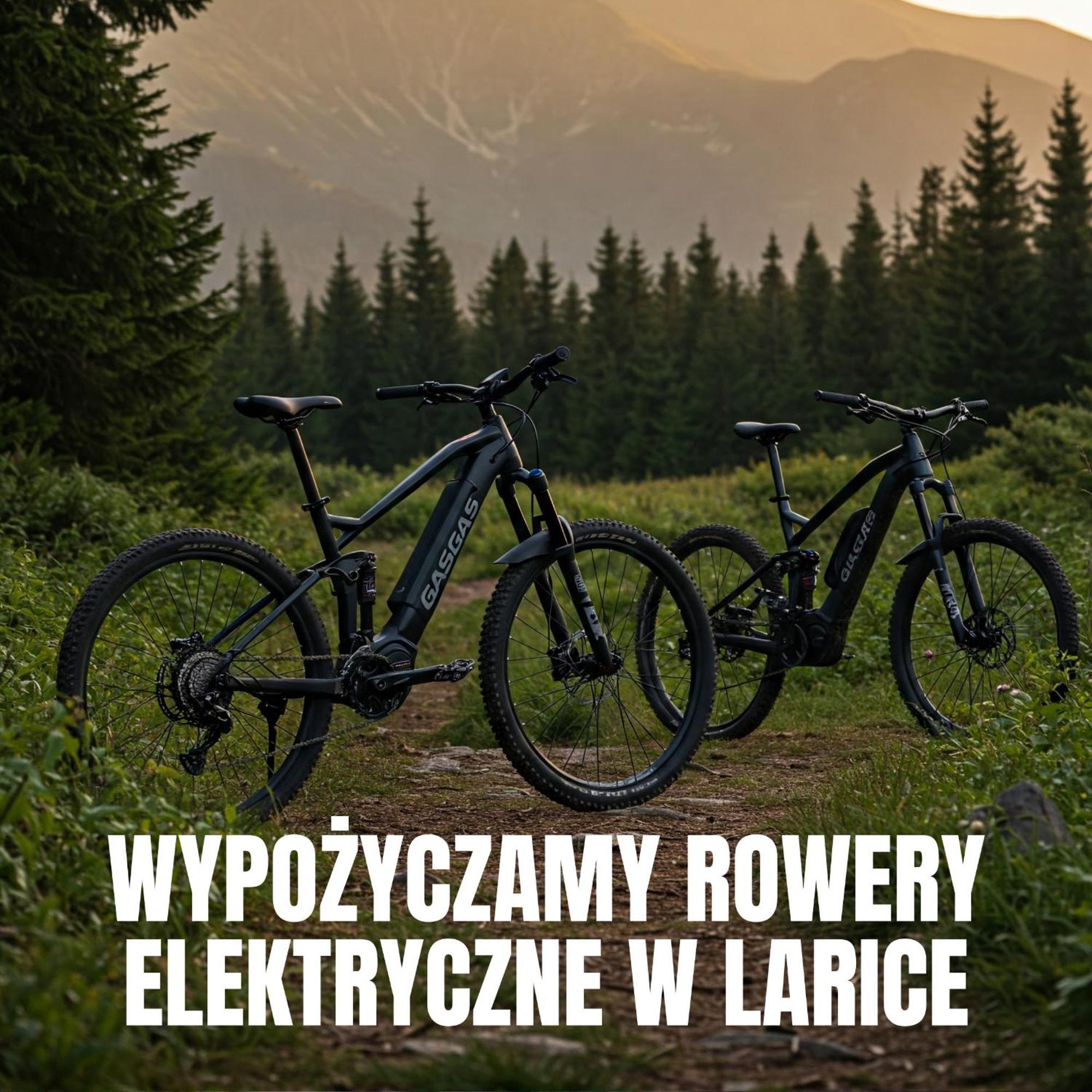 Apartamenty Larice - Podgrzewany Basen, Balia I Sauna Swieradow-Zdroj Ngoại thất bức ảnh
